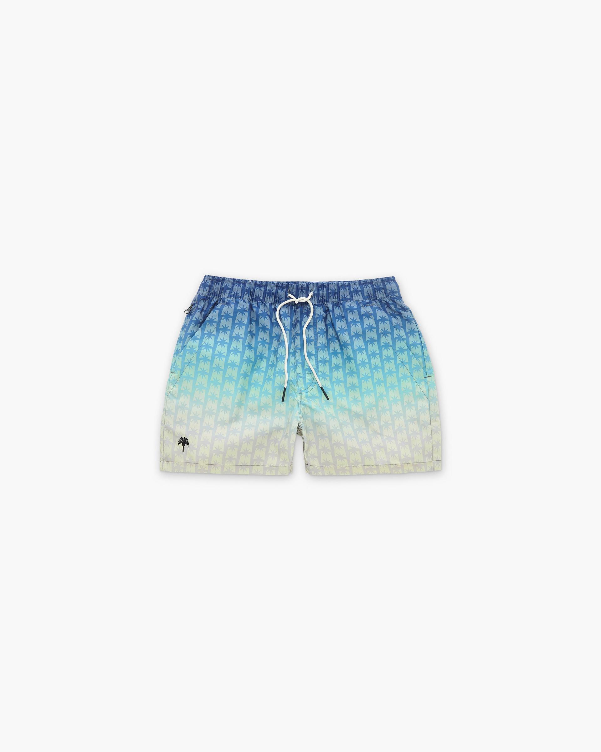 Polar Sky Swim Shorts