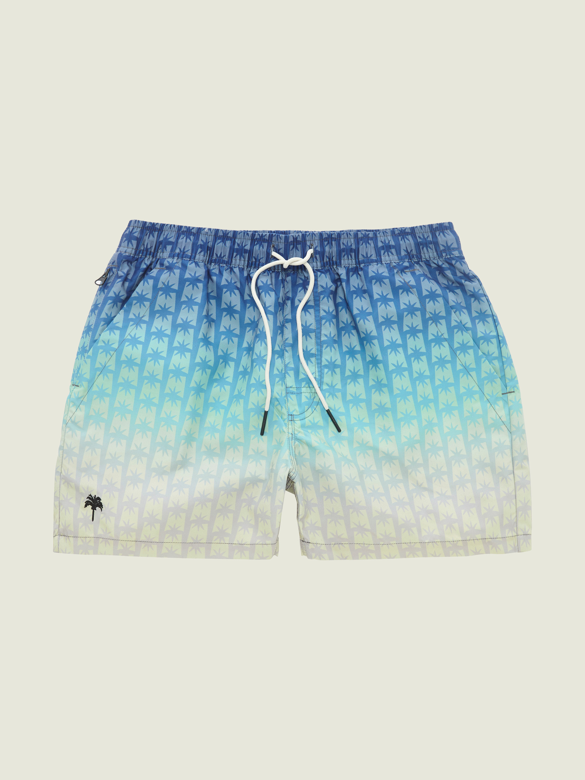 Polar Sky Swim Shorts